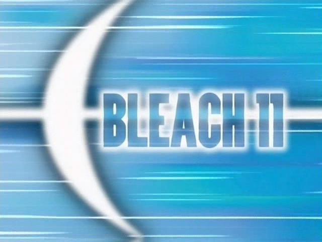 Otaku Gallery  / Anime e Manga / Bleach / Screen Shots / Episodi / 011 - Il leggendario Quincy / 018.jpg